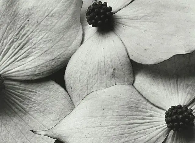 Visual identity & storytelling